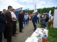 den polya_2022_3